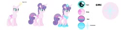 Size: 1280x322 | Tagged: safe, artist:littsandy, princess flurry heart, alicorn, pony, g4, clothes, crown, female, jewelry, mare, necklace, older, older flurry heart, reference sheet, regalia, shoes, simple background, solo, white background