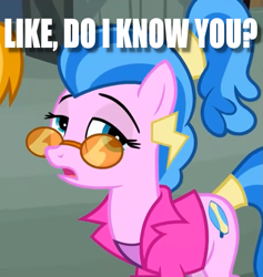 Size: 1021x1079 | Tagged: safe, edit, edited screencap, screencap, surf, turf, earth pony, pony, g4, putting your hoof down, season 2, caption, clothes, cropped, female, glasses, image macro, mare, meme, solo focus, text