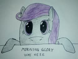 Size: 1856x1408 | Tagged: safe, artist:überreaktor, oc, oc only, oc:morning glory (project horizons), pony, hooves, kilroy, kilroy was here, solo, text, traditional art