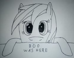 Size: 2347x1834 | Tagged: safe, artist:überreaktor, oc, oc only, oc:boo, pony, fallout equestria, fallout equestria: project horizons, fanfic art, hooves, kilroy, kilroy was here, monochrome, solo, text, traditional art