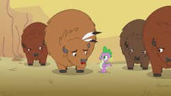 Size: 2880x1620 | Tagged: safe, screencap, spike, bison, buffalo, dragon, g4, over a barrel, cloven hooves, desert, eyes closed, feather, looking at each other, male, open mouth, unnamed buffalo, unnamed character