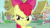 Size: 1280x720 | Tagged: safe, screencap, apple bloom, applejack, scootaloo, sweetie belle, earth pony, pegasus, pony, unicorn, g4, one bad apple, animated, balloon, cutie mark crusaders, evil laugh, female, filly, hub logo, laughing, mare, ponyville, sound, the hub, webm