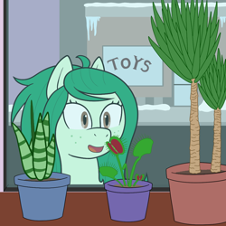 Size: 1000x1000 | Tagged: safe, artist:scraggleman, wallflower blush, earth pony, pony, venus flytrap, g4, equestria girls ponified, female, ponified, potted plant, smiling, snow, solo, story included, street, wallflower and plants, window