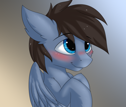 Size: 3500x3000 | Tagged: safe, artist:snowstormbat, oc, oc:luck, pegasus, pony, blushing, bust, gradient background, high res, male, portrait, smiling, solo, stallion