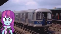 Size: 1334x750 | Tagged: safe, edit, editor:topsangtheman, mystery mint, equestria girls, g4, looking at you, new york city, new york city subway, photoshop, train, train station