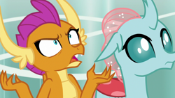 Size: 1920x1080 | Tagged: safe, screencap, ocellus, smolder, changedling, changeling, dragon, 2 4 6 greaaat, g4, angry, dragoness, duo, fangs, female, folded wings, horns, looking at something, looking up, open mouth, smolder is not amused, unamused, wings