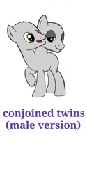 Size: 1080x2160 | Tagged: safe, artist:calebtyink, earth pony, pony, base, conjoined, conjoined twins, male, multiple heads, pony base, stallion, template, two heads