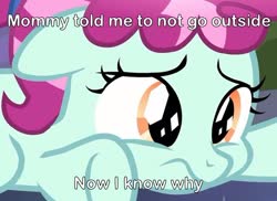 Size: 1000x727 | Tagged: safe, edit, edited screencap, screencap, cherry valley, crystal pony, earth pony, pony, g4, season 9, the beginning of the end, caption, cropped, crystal filly, female, filly, imminent foalcon, save the filly, solo, stranger danger
