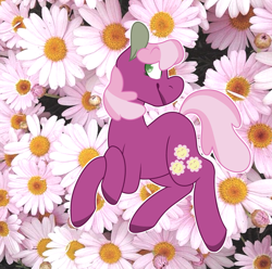 Size: 1020x1012 | Tagged: safe, artist:ff0000, cheerilee, earth pony, pony, g4, daisy (flower), female, mare, smiling, solo, turned head