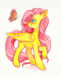 Size: 600x761 | Tagged: safe, artist:nekophoenix, fluttershy, butterfly, pegasus, pony, g4, cute, female, looking at something, mare, raised hoof, shyabetes, smiling, solo, standing, three quarter view, traditional art, turned head, watercolor painting, wings