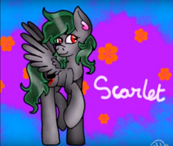 Size: 768x650 | Tagged: safe, oc, oc only, oc:darknightprincess, pegasus, pony, female, flower, gray coat, green mane, mare, red eyes, solo, voice actor
