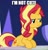 Size: 500x526 | Tagged: safe, edit, edited screencap, editor:twi clown, screencap, sunset shimmer, pony, unicorn, equestria girls, equestria girls specials, g4, my little pony equestria girls: spring breakdown, blatant lies, caption, cropped, cute, female, i'm not cute, image macro, mare, meme, shimmerbetes, solo, sunset shimmer is not amused, text, unamused