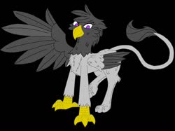 Size: 1447x1085 | Tagged: safe, artist:mlpfunfictionwriter, oc, oc only, oc:kira, griffon, black background, female, simple background, solo