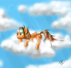 Size: 1466x1394 | Tagged: safe, artist:zigword, oc, oc only, pony, aviator goggles, cloud, sky, solo