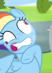 Size: 478x663 | Tagged: safe, screencap, rainbow dash, pegasus, pony, g4, newbie dash, animated, cropped, female, gif, gums, implied spitfire, solo, spinning eyes