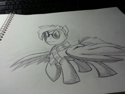 Size: 816x612 | Tagged: safe, artist:lucas_gaxiola, oc, oc only, pegasus, pony, clothes, glasses, grayscale, irl, monochrome, pegasus oc, photo, raised hoof, scarf, solo, traditional art, wings