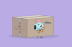 Size: 3363x2204 | Tagged: safe, artist:gd_inuk, ocellus, changedling, changeling, griffon, g4, behaving like a bird, box, changeling in a box, dialogue, disguise, disguised changeling, female, griffon in a box, griffon ocellus, griffonized, high res, implied gallus, ocellus is not amused, purple background, simple background, solo, species swap, story included, unamused