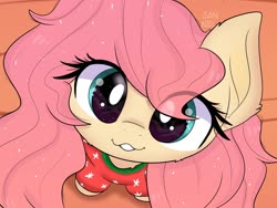 Size: 1600x1200 | Tagged: safe, artist:janelearts, fluttershy, pegasus, pony, g4, :3, big eyes, cute, female, looking at you, looking up, looking up at you, shyabetes, solo