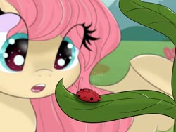 Size: 1600x1200 | Tagged: safe, artist:janelearts, fluttershy, insect, ladybug, pegasus, pony, g4, amazed, big eyes, bust, cute, eye clipping through hair, female, looking at something, open mouth, outdoors, shyabetes