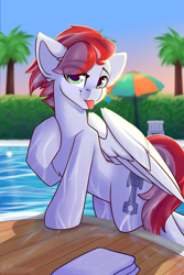 Size: 2000x3000 | Tagged: safe, artist:shadowreindeer, oc, oc only, oc:swift apex, pegasus, pony, commission, dripping, high res, male, stallion, swimming pool, tail, wet, wet mane, wet tail, ych result