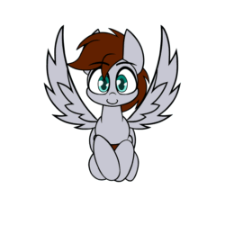Size: 2000x2000 | Tagged: safe, artist:nekro-led, part of a set, oc, oc only, oc:flower pot, pegasus, pony, animated, cute, flight cycle, gif, high res, looking at you, loop, simple background, smiling, solo, white background, ych result