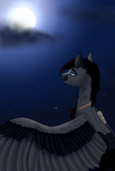 Size: 1024x1520 | Tagged: safe, artist:clarissa0210, oc, oc only, oc:silver storm, pegasus, pony, female, mare, moon, simple background, solo, transparent background