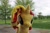 Size: 960x640 | Tagged: safe, artist:emberfallplush, sunset shimmer, pony, unicorn, g4, irl, photo, plushie