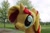 Size: 960x640 | Tagged: safe, artist:emberfallplush, sunset shimmer, pony, unicorn, g4, irl, photo, plushie