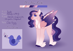 Size: 3500x2454 | Tagged: safe, artist:nobleclay, oc, oc only, oc:meadow lark (clay-bae), pegasus, pony, feathered fetlocks, female, high res, magical lesbian spawn, mare, offspring, parent:fluttershy, parent:rarity, parents:flarity, reference sheet, solo, two toned wings, wings