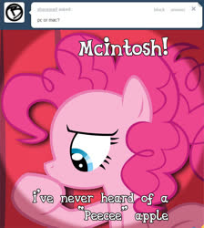Size: 643x718 | Tagged: safe, artist:muhmuhmuhimdead, pinkie pie, pony, ask pun, g4, ask, ask tickled pinkie, female, solo