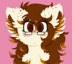 Size: 1135x1019 | Tagged: safe, artist:vanillaswirl6, oc, oc only, oc:historic shine, pony, :o, animated, blushing, cheek fluff, chest fluff, ear fluff, freckles, glasses, open mouth, smiling, solo