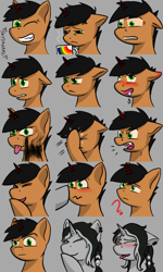 Size: 600x1000 | Tagged: safe, artist:skydreams, oc, oc:bullet storm, oc:charger, pony, unicorn, angry, boop, claws, coffee, coffee mug, confused, drool, ear piercing, emoji, emotes, facehoof, feather, female, giggling, glare, lip bite, looking at you, male, mare, mug, one eye closed, piercing, question mark, rainbow, sleepy, smoke, stallion, steam, wink, yelling