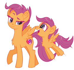 Size: 2532x2396 | Tagged: safe, artist:moonseeker, scootaloo, pegasus, pony, g4, chest fluff, duality, female, filly, high res, mare, older, older scootaloo, self ponidox, simple background, solo, time paradox, transparent background