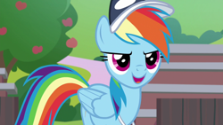 Size: 1920x1080 | Tagged: safe, screencap, rainbow dash, pegasus, pony, 2 4 6 greaaat, g4, cap, coach rainbow dash, female, hat, mare, open mouth, solo