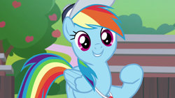 Size: 1920x1080 | Tagged: safe, screencap, rainbow dash, pegasus, pony, 2 4 6 greaaat, g4, coach rainbow dash, cute, dashabetes, female, happy, mare, raised hoof, smiling, solo