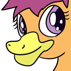 Size: 1250x1250 | Tagged: safe, artist:anonymous, scootaloo, bird, duck, g4, cute, drawthread, duck bill, duckified, female, filly, simple background, solo, species swap, transparent background