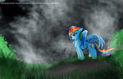 Size: 3049x1967 | Tagged: safe, artist:72-hours-remain, rainbow dash, pegasus, pony, g4, female, grass, mare, sad, spread wings, standing, upset, wings