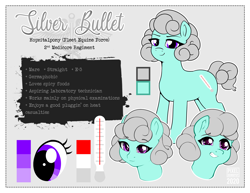 Size: 2500x1932 | Tagged: safe, oc, oc:silver bullet, earth pony, pony, photo
