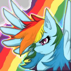 Size: 600x600 | Tagged: safe, artist:myuse, edit, rainbow dash, pegasus, pony, g4, awesome, female, mare, solo, spread wings, wings
