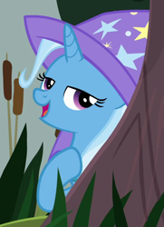 Size: 560x774 | Tagged: safe, screencap, trixie, a horse shoe-in, g4, cropped