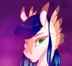 Size: 2400x2231 | Tagged: safe, artist:finchina, oc, oc only, pony, blaze (coat marking), bust, cheek feathers, coat markings, facial markings, female, gift art, high res, lidded eyes, looking at you, mare, night, solo, stars