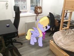 Size: 2046x1536 | Tagged: safe, edit, editor:topsangtheman, gameloft, cloud kicker, pegasus, pony, g4, augmented reality, irl, photo, ponies in real life