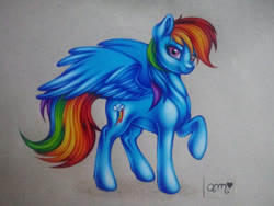 Size: 1920x1440 | Tagged: safe, artist:aideemargarita, rainbow dash, pegasus, pony, g4, female, mare, solo, spread wings, wings