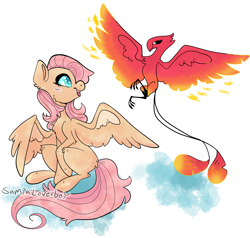 Size: 1530x1455 | Tagged: safe, artist:sampailoverboy, fluttershy, philomena, pegasus, phoenix, pony, g4, cute, duo, female, flying, heart eyes, looking at each other, mare, redesign, shyabetes, signature, sitting, spread wings, wingding eyes, wings
