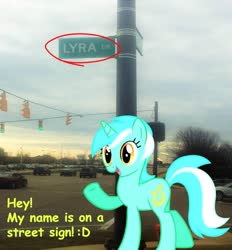 Size: 1901x2048 | Tagged: safe, lyra heartstrings, pony, unicorn, g4, caption, happy, irl, photo, ponies in real life