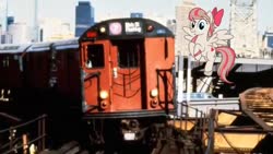 Size: 1334x750 | Tagged: safe, edit, editor:topsangtheman, angel wings, pegasus, pony, g4, irl, looking at you, new york city, new york city subway, photo, ponies in real life, train
