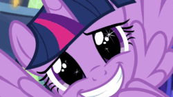 Size: 1280x720 | Tagged: safe, screencap, twilight sparkle, alicorn, pony, g4, made in manehattan, season 5, animated, cute, female, flapping, gif, looking at you, mare, smiling, solo, sparkly eyes, twiabetes, twilight sparkle (alicorn), wingding eyes