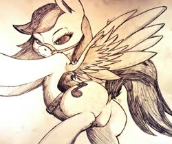 Size: 1024x862 | Tagged: safe, artist:lucas_gaxiola, oc, oc only, pegasus, pony, bridle, butt, dock, featureless crotch, female, mare, pegasus oc, plot, saddle, signature, solo, tack, traditional art, wings