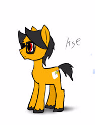 Size: 2448x3264 | Tagged: safe, artist:a.s.e, oc, oc only, oc:a.s.e, pony, glasses, high res, male, simple background, solo, stallion, white background