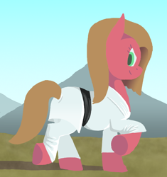Size: 618x658 | Tagged: safe, artist:crispokefan, oc, oc only, oc:pun, earth pony, pony, ask pun, ask, black belt, clothes, female, gi, karate, mare, martial arts, pants, robe, solo